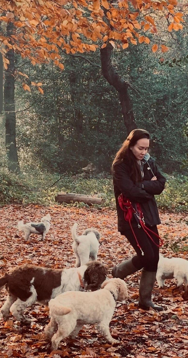 Stephanie, dog walker at Premier Dog Walkers, on an autumn group walk on Hampstead Heath