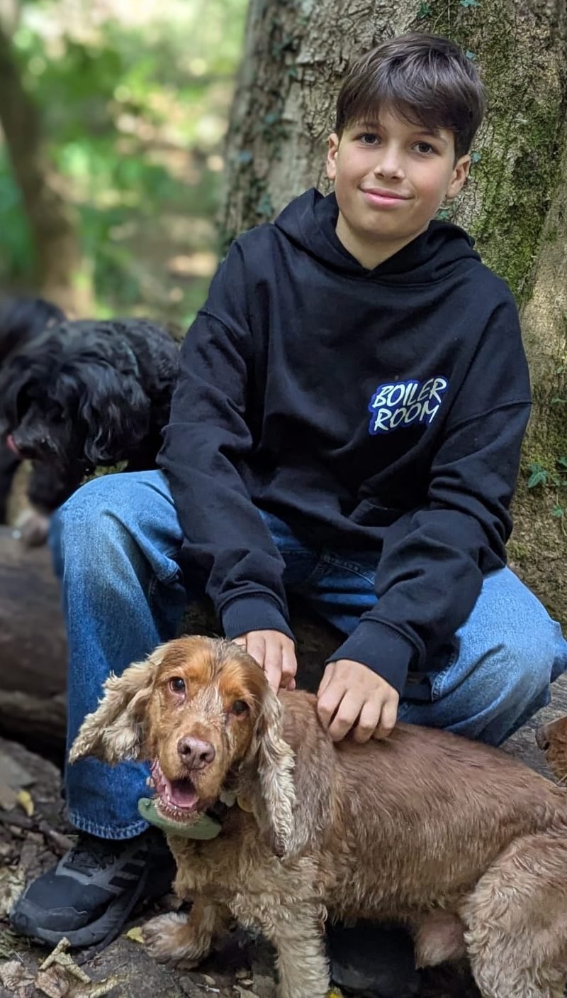 Wrufo the cocker spaniel on a woodland walk
